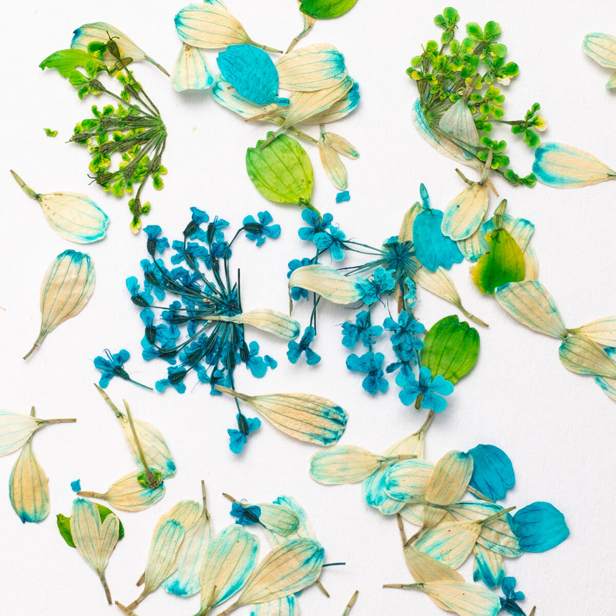 Flower Flakes - Spring Meadow - 0,3g-nail art pynt