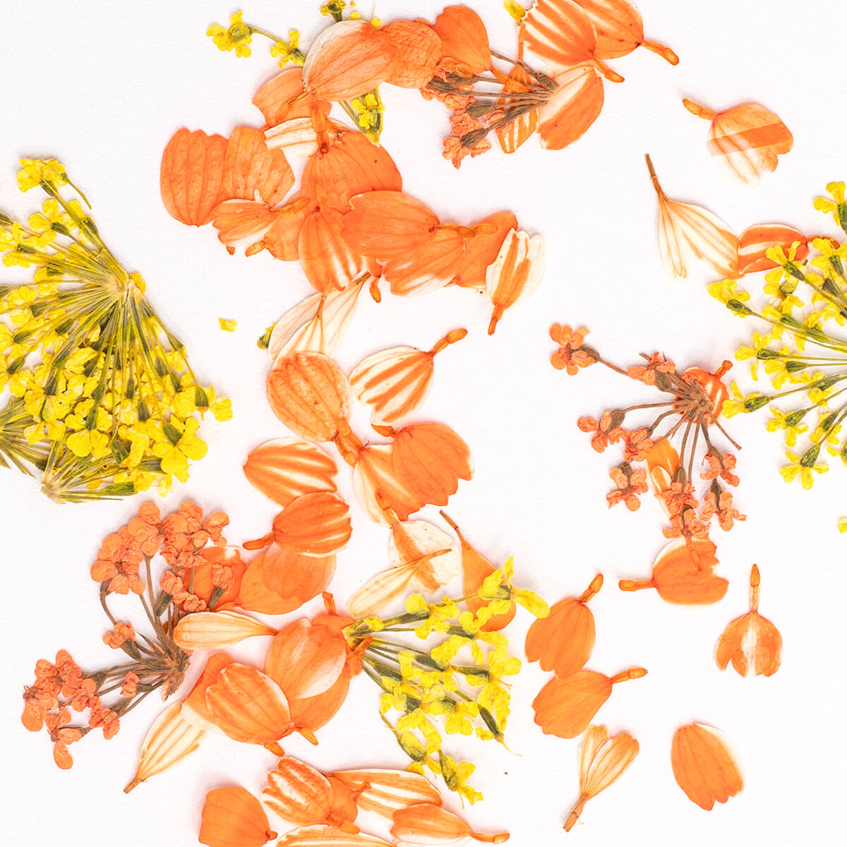 Flower Flakes - Golden Sunset - 0,3g-nail art pynt